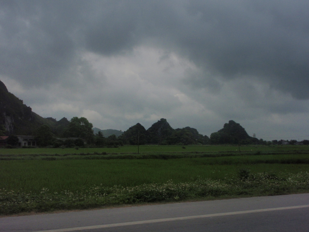 P1012499.jpg