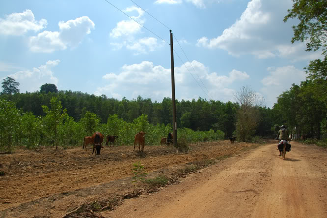 DSC_3873.jpg