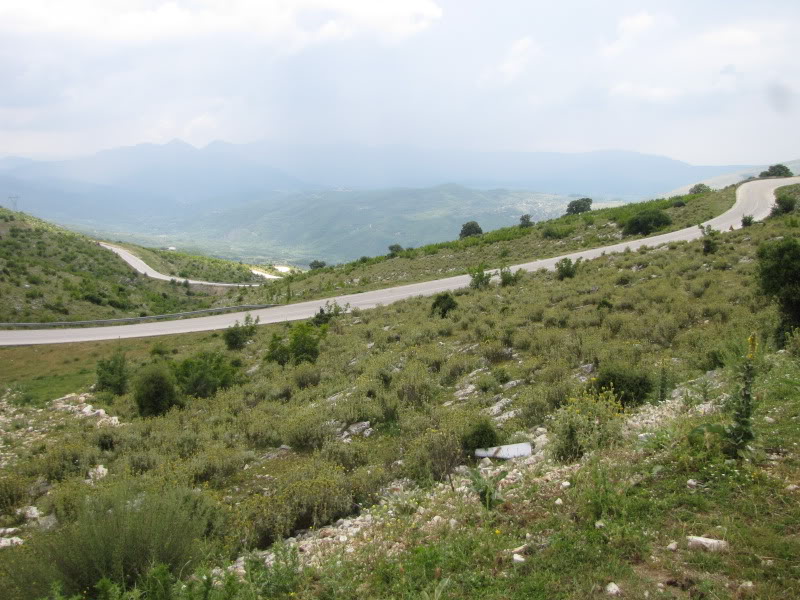 IMG_4288.jpg