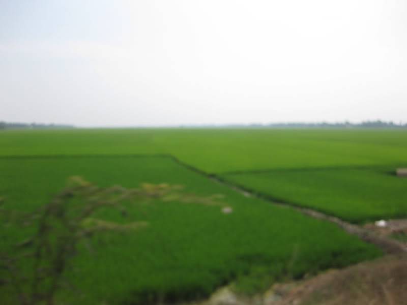 DongThapTET2011448.jpg