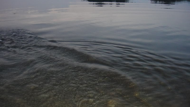 DSC01113.jpg