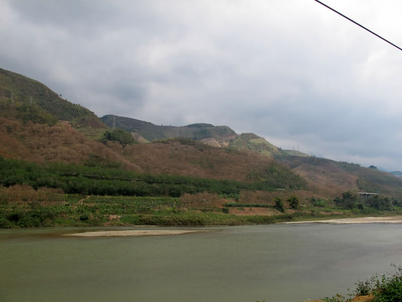 HongNgai2011807.jpg