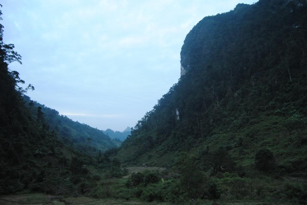 DSC_0433.jpg