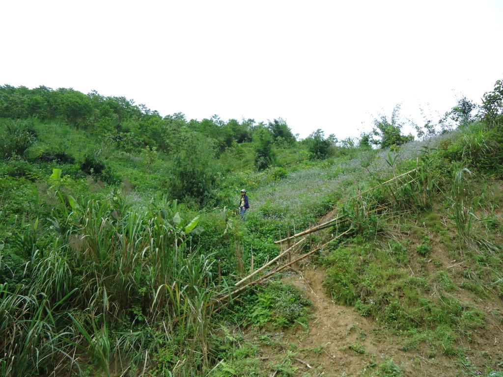 DSC00952.jpg