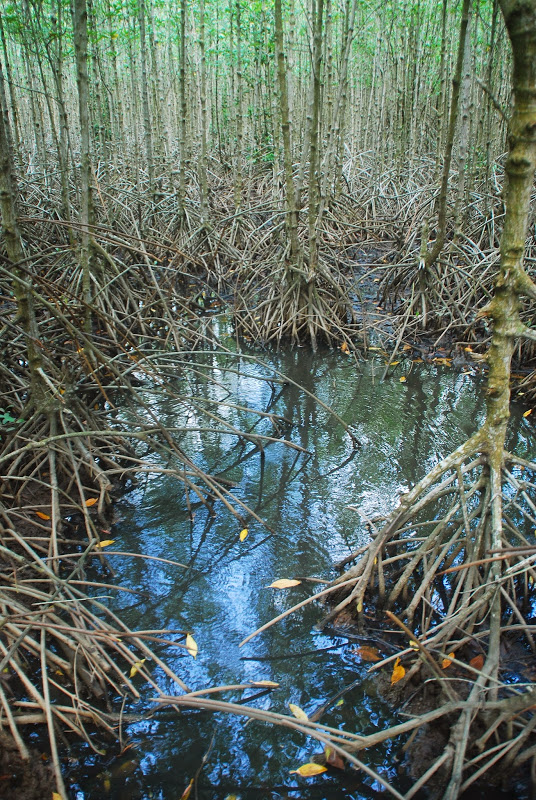 DSC_8790.JPG
