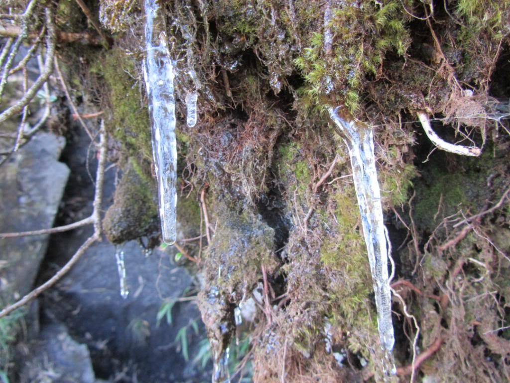 IMG_6171-1.jpg