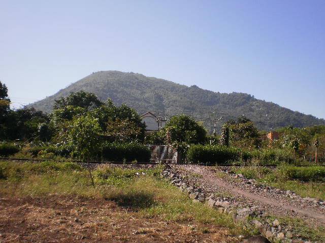 PC130288.jpg