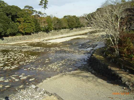 R0011175_resize.jpg
