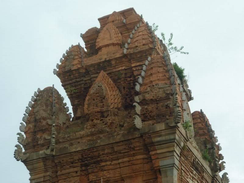 P1000310800x600.jpg