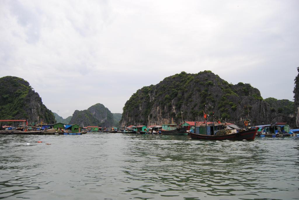 DSC_0051.jpg