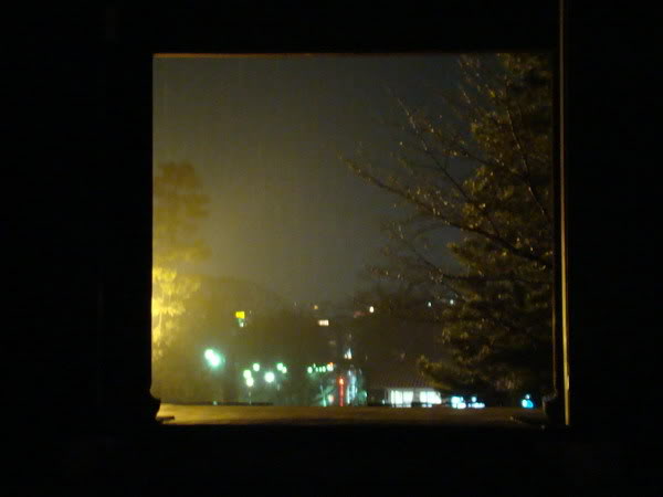 DSC02831_resize.jpg