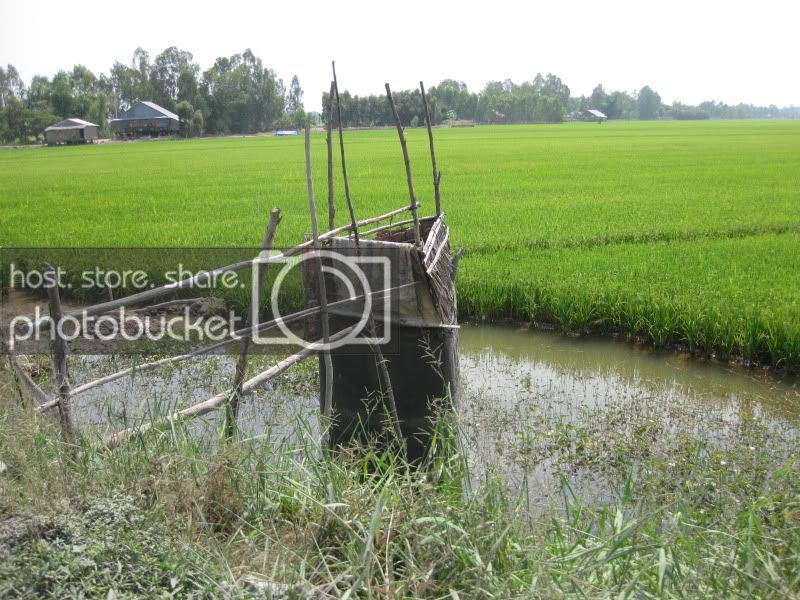 DongThapTET2011386.jpg