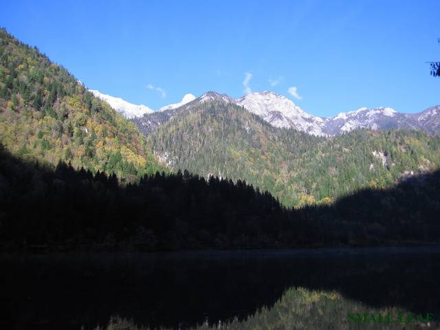 IMG_2181.jpg
