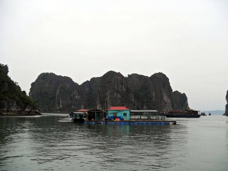 345.jpg