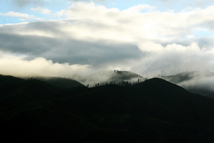 IMG_6524.jpg