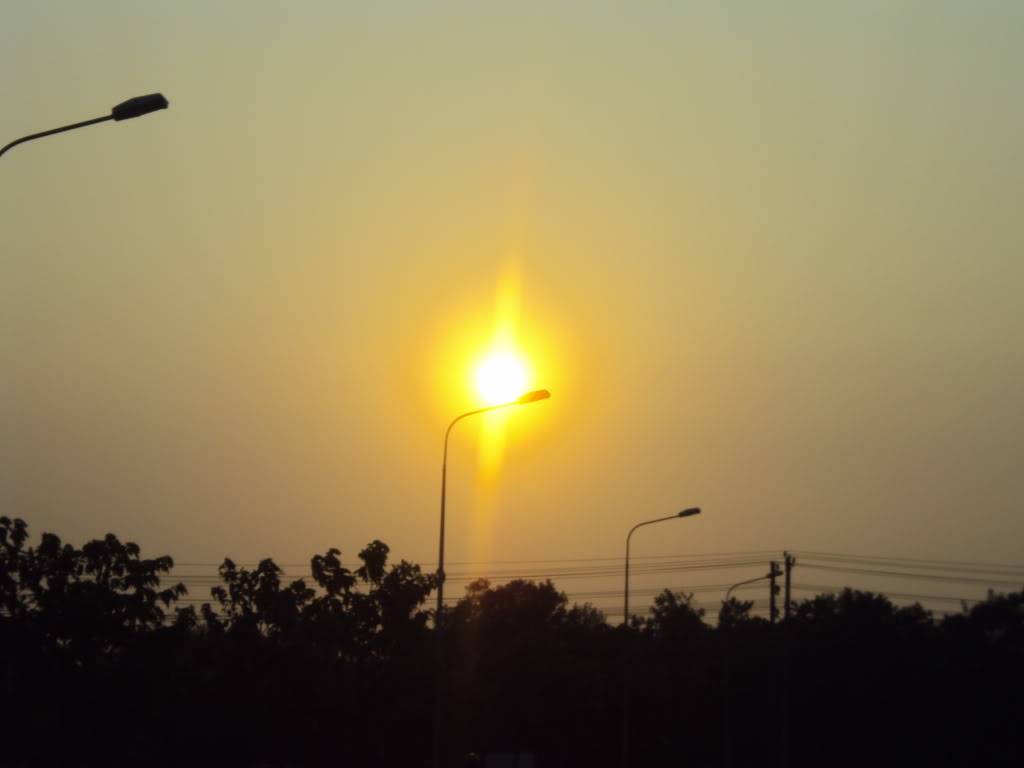 DSC05518.jpg