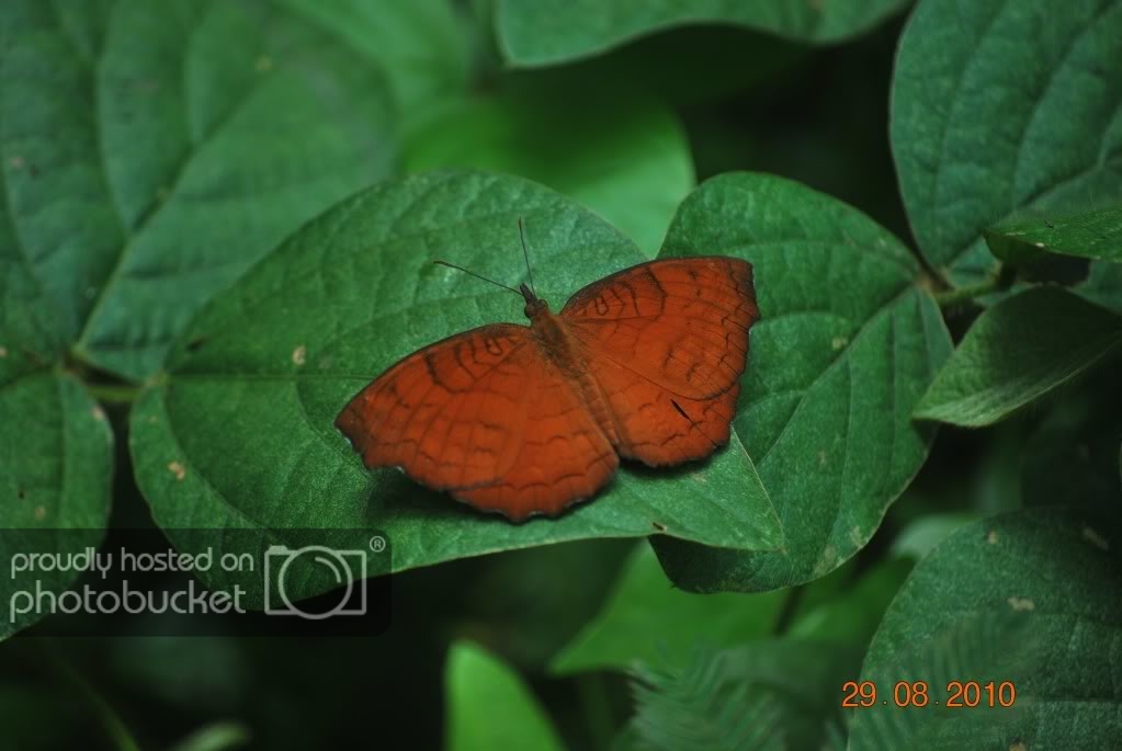 DSC_1565.jpg