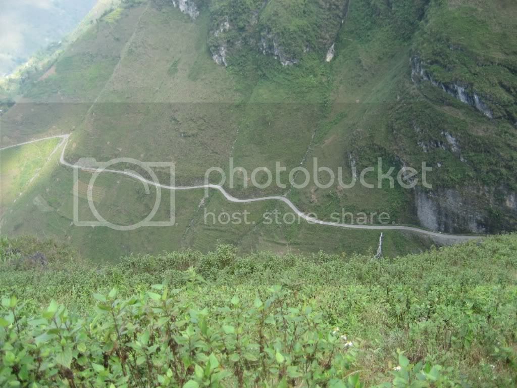 IMG_1647.jpg