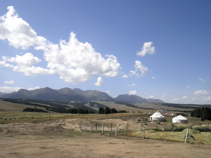 P9021927.jpg