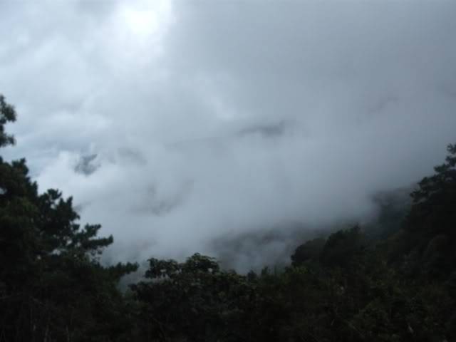 DSCF3195.jpg