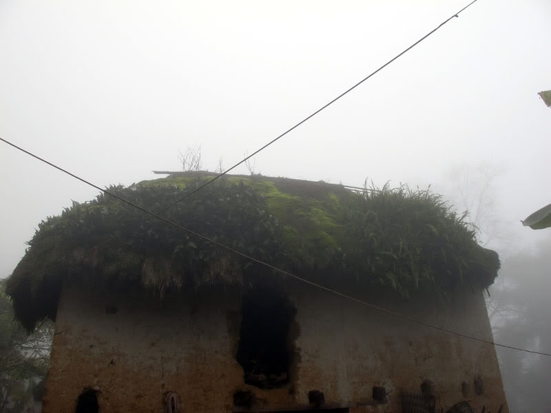 HongNgai2011317.jpg