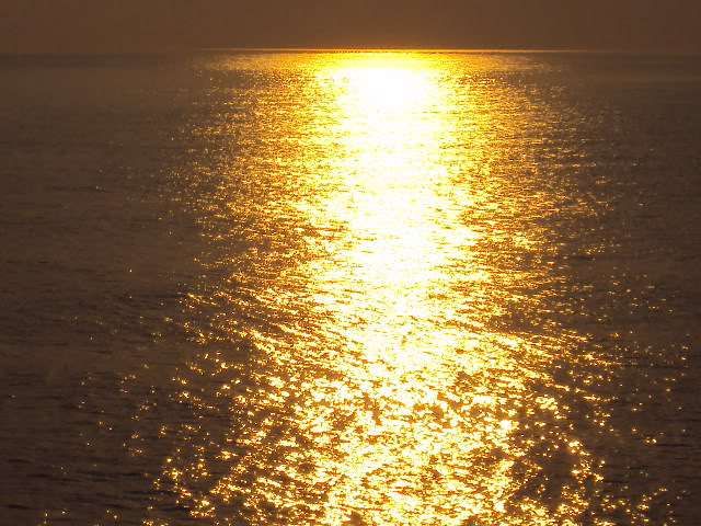 DSC04830.jpg