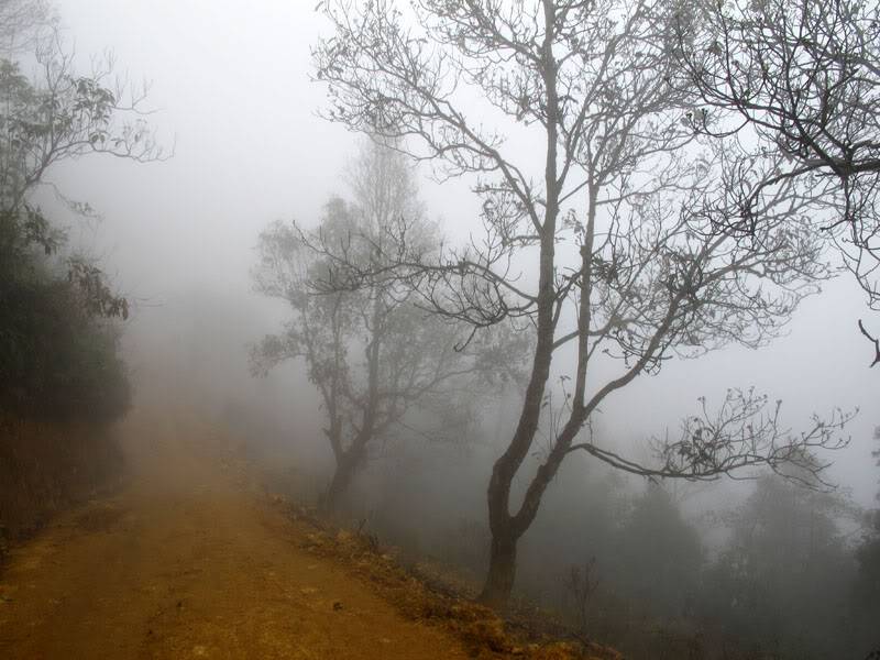 HongNgai2011465.jpg