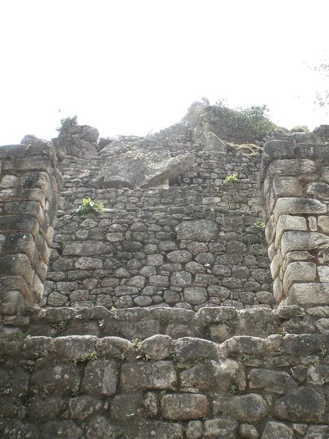 CIMG6164-1.jpg