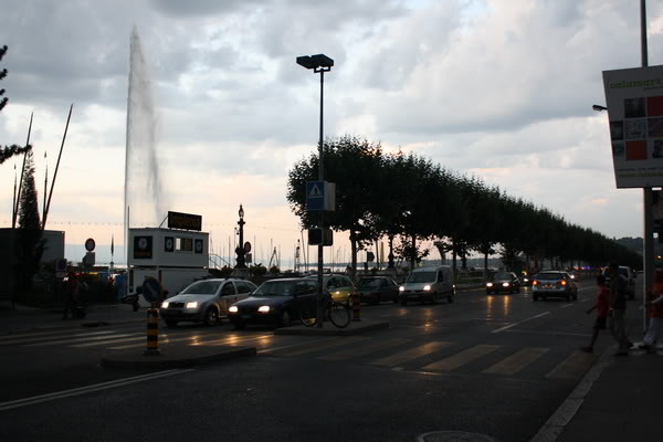 IMG_7882.jpg