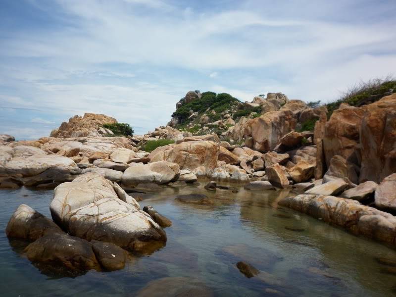 P1000856.jpg