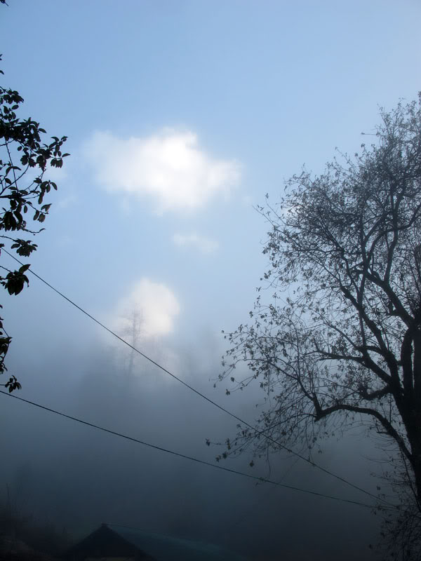 HongNgai2011511.jpg