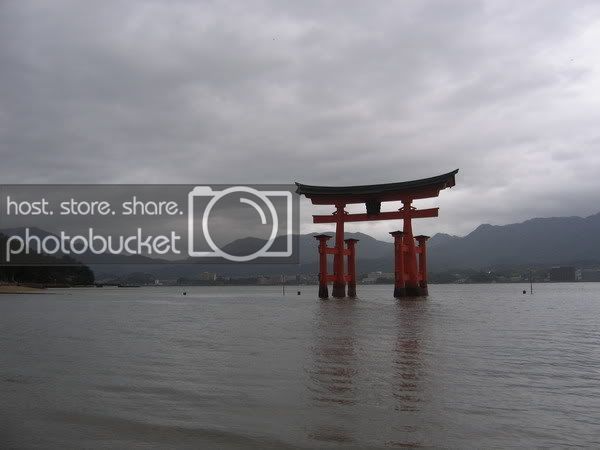 IMG_0941_resize.jpg