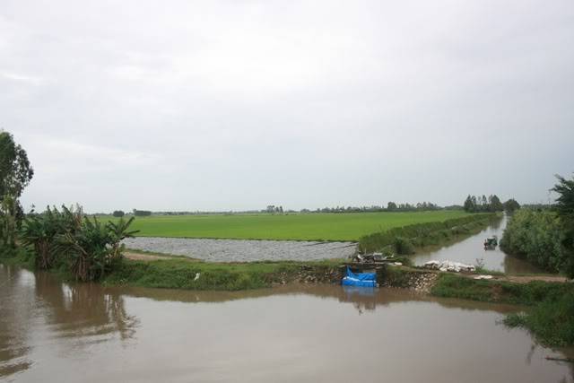 IMG_4247.jpg