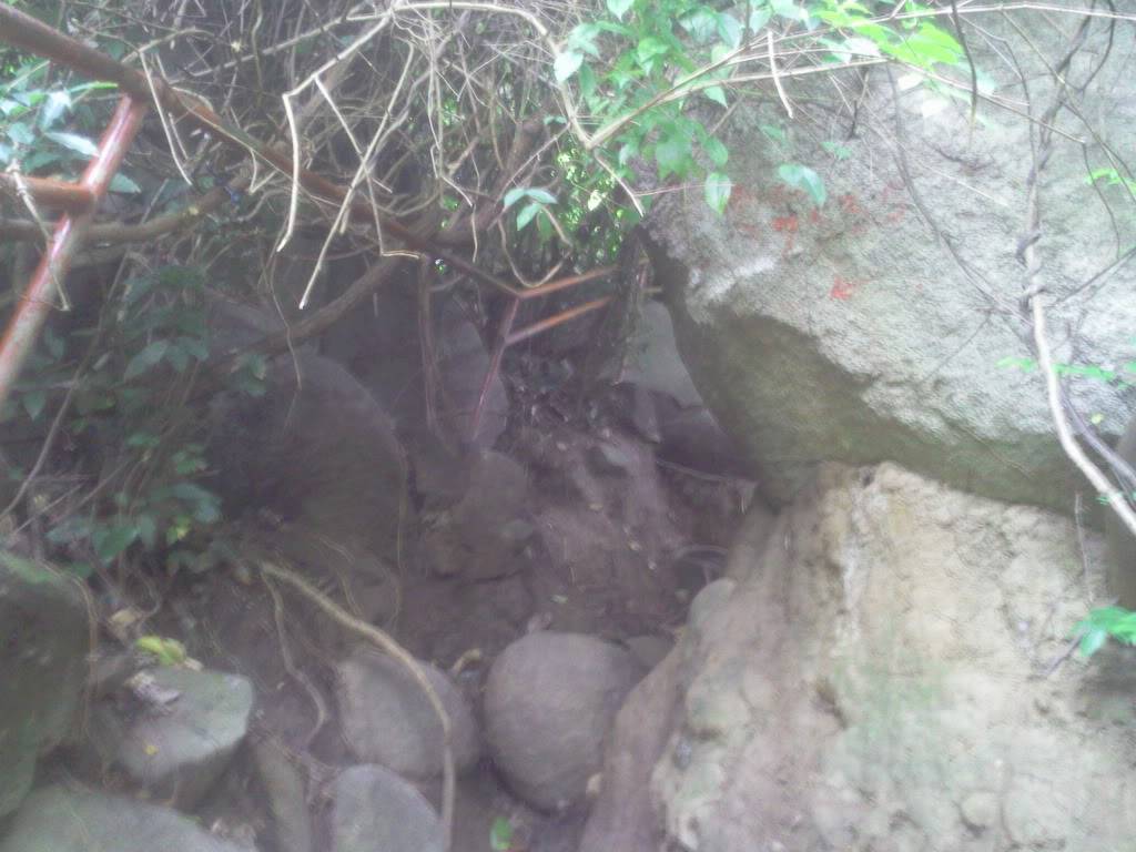 Photo0746.jpg