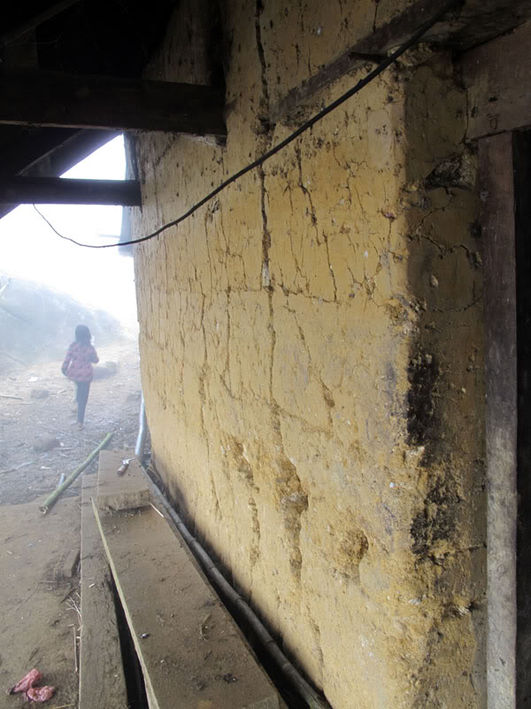 HongNgai2011424.jpg