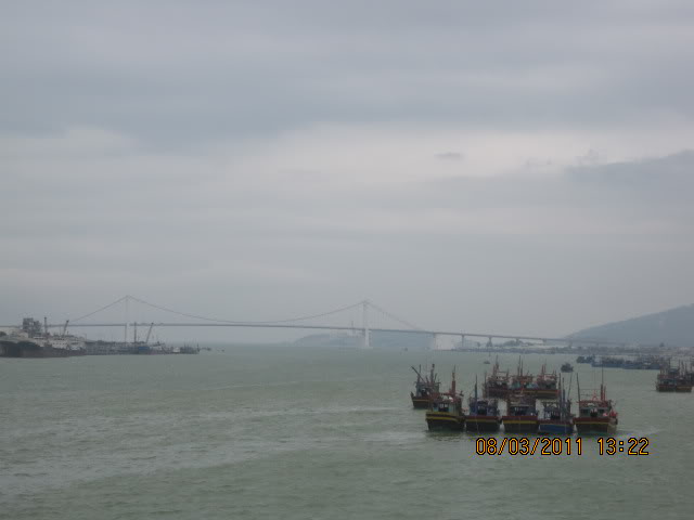 IMG_6558.jpg