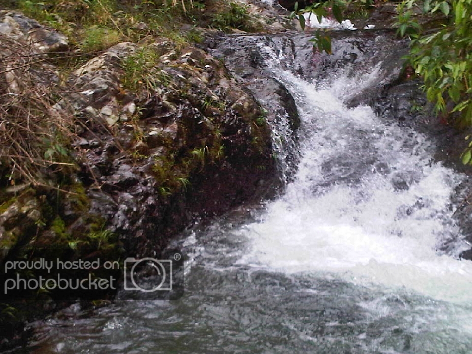 IMG-20120923-00148.jpg