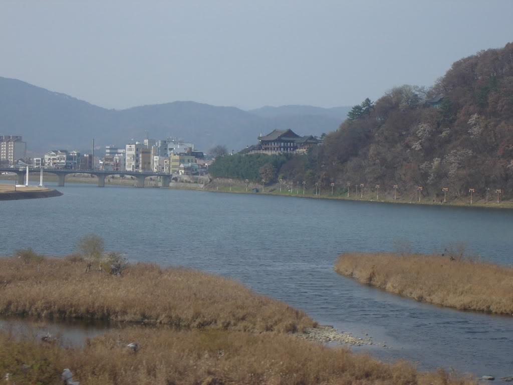 DSC09075.jpg