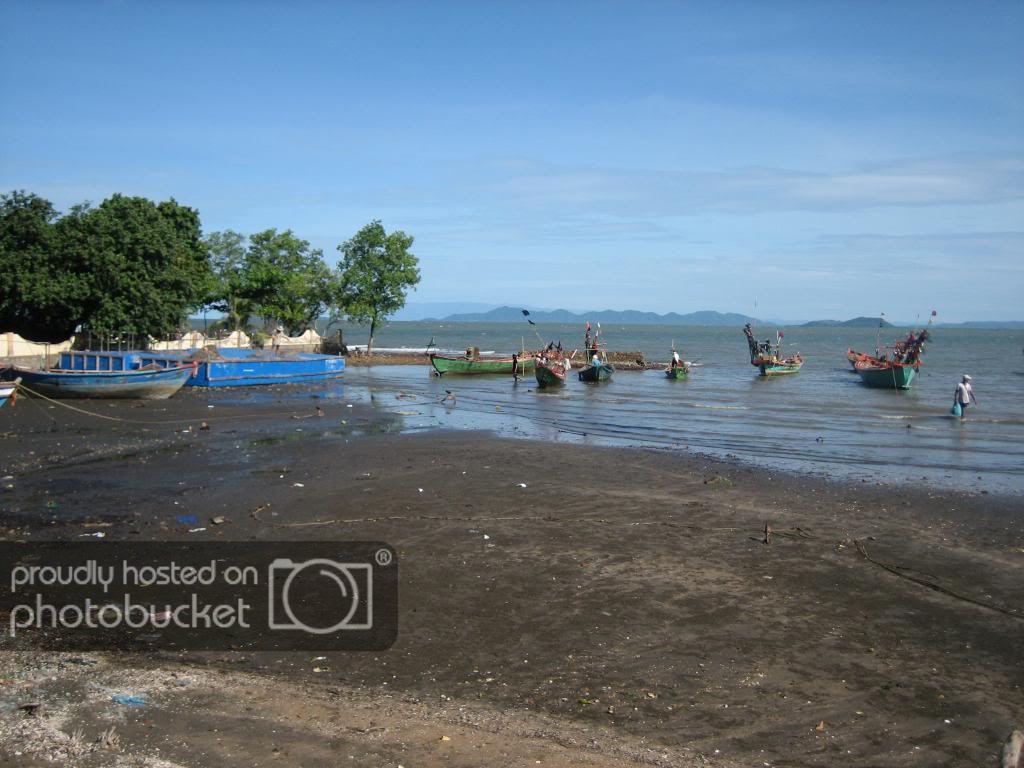 IMG_0736_zps9a34eae9.jpg