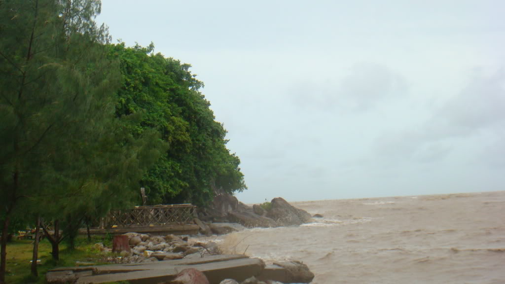249.jpg