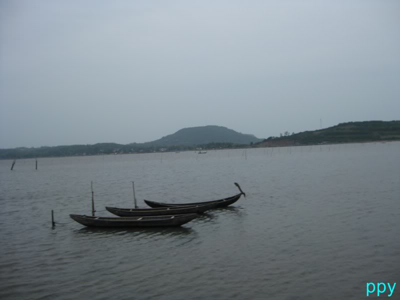IMG_4892800x600.jpg