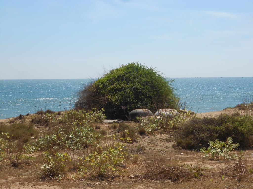 DSCN1644.jpg