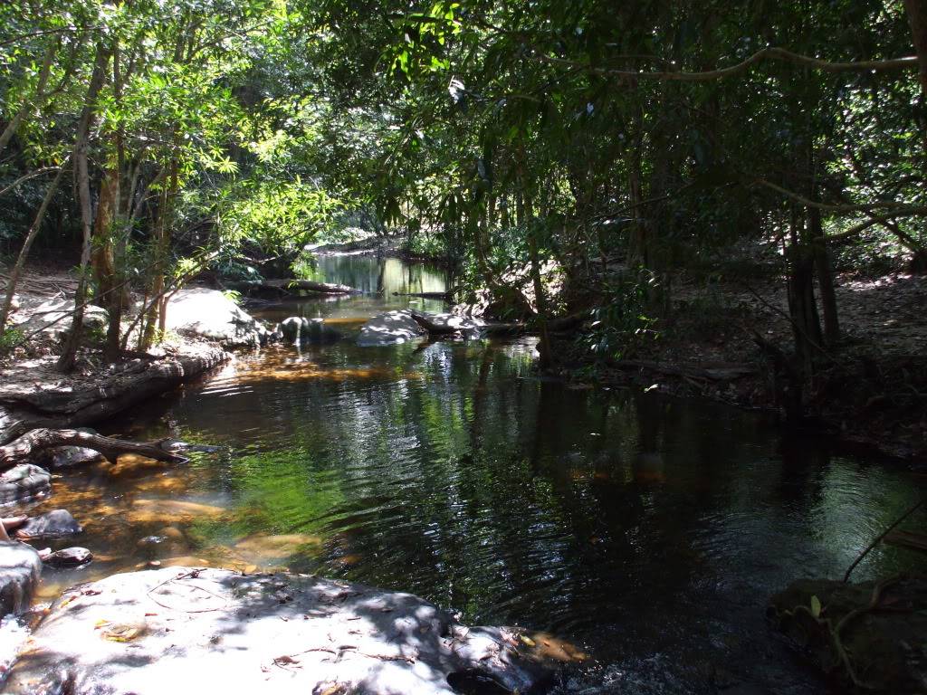 DSCF5504.jpg