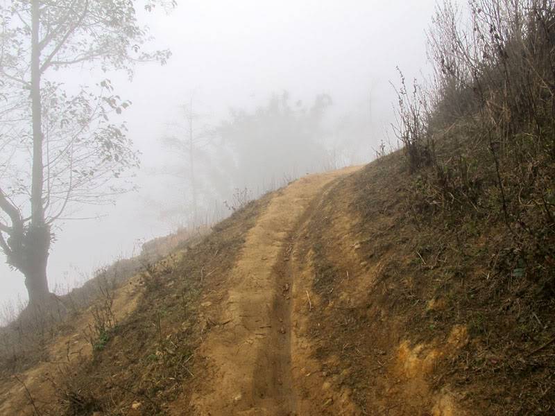 HongNgai2011474.jpg