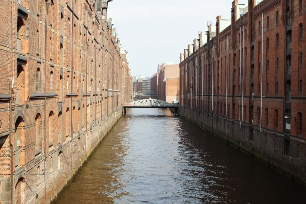 DSC07276.jpg