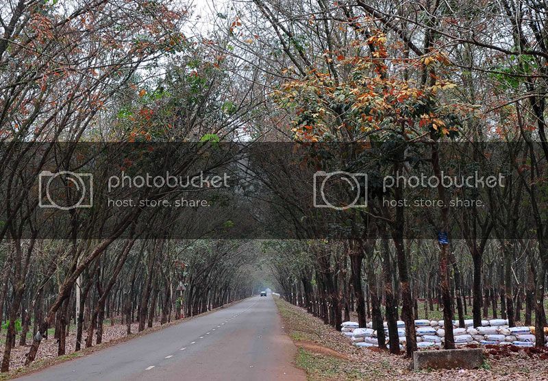 DSC_2652_zps1a1c1c6c.jpg