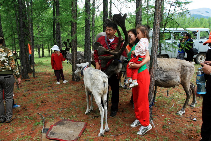 IMG_7080_zps7d11c699.jpg