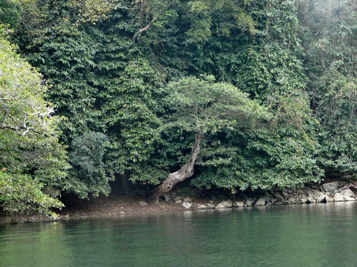 P1050571.JPG
