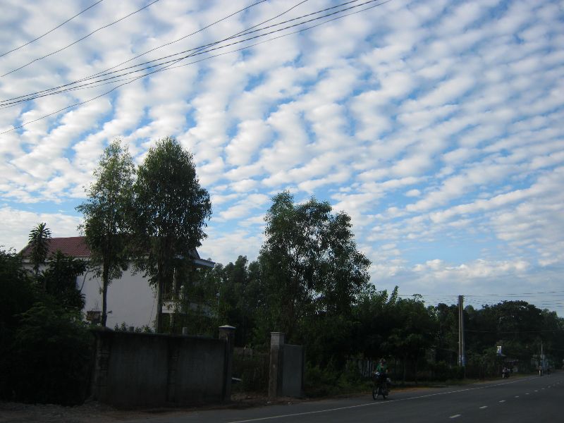 IMG_5594.jpg