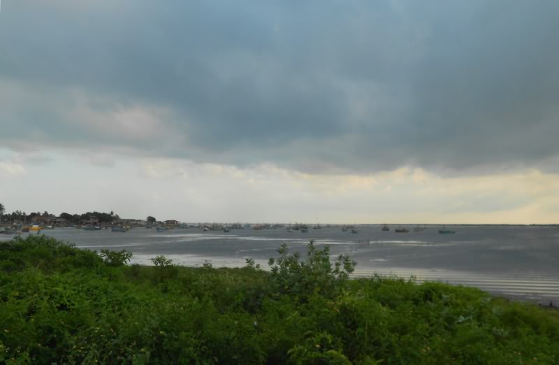 DSCN4419-1.jpg